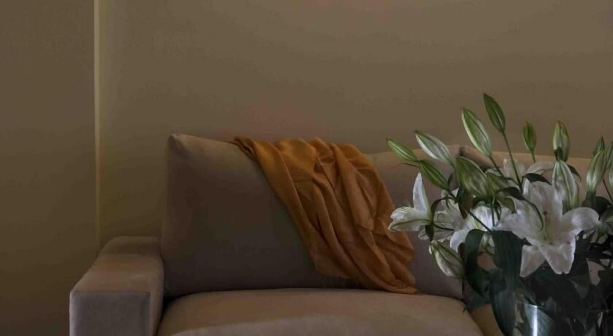 Valis Resort Hotel Volos Exterior photo A throw draped over a sofa